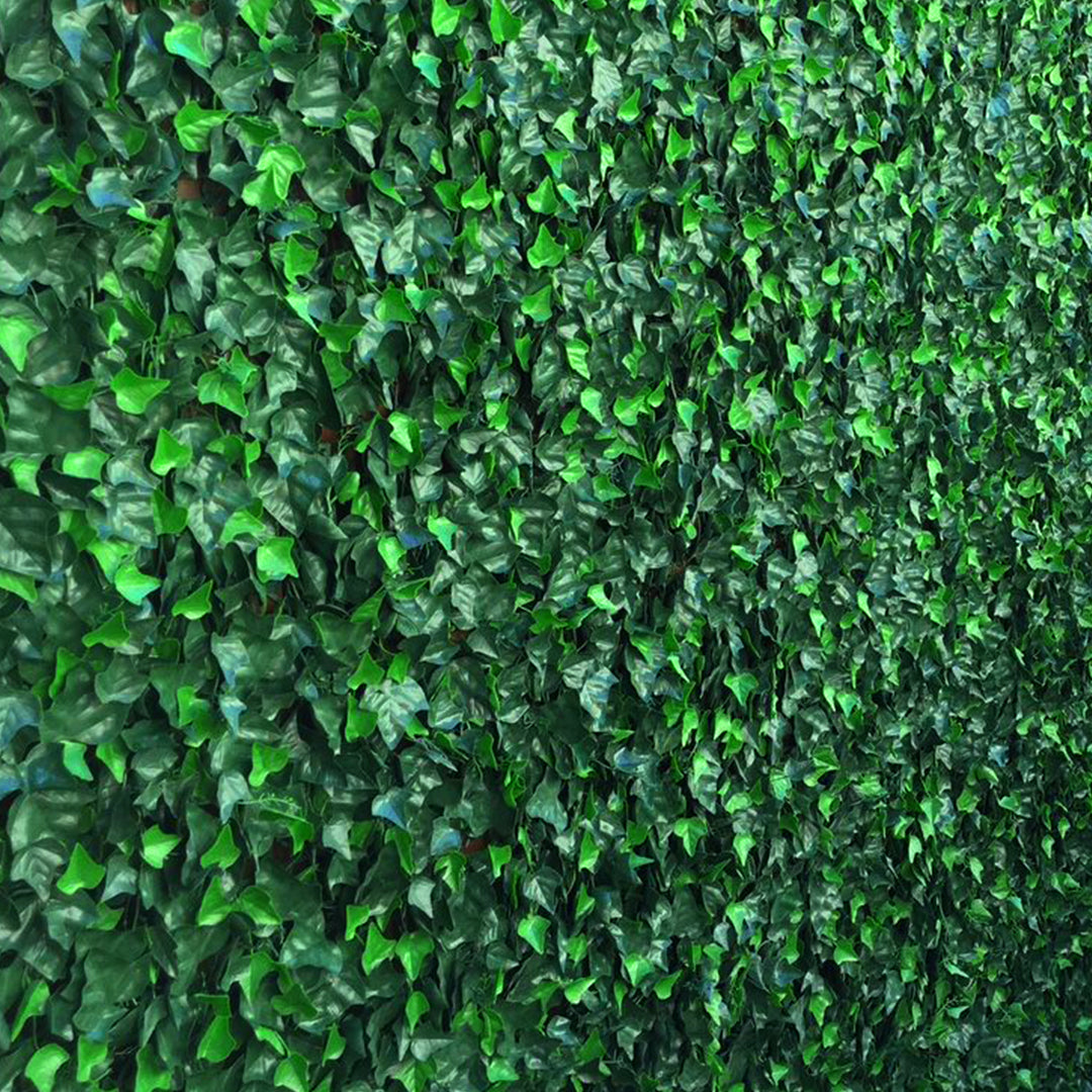 Preserved Moss Wall & Artificial Green wall, Wall Art Frames, Pets & Aquarium, Coir Products, Plant Pots, Dry Flower, Green wall, Foliage Wall, Flowers for every occasion, Landscape Designing, Dry Flower