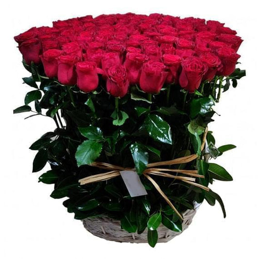 100 red roses basket