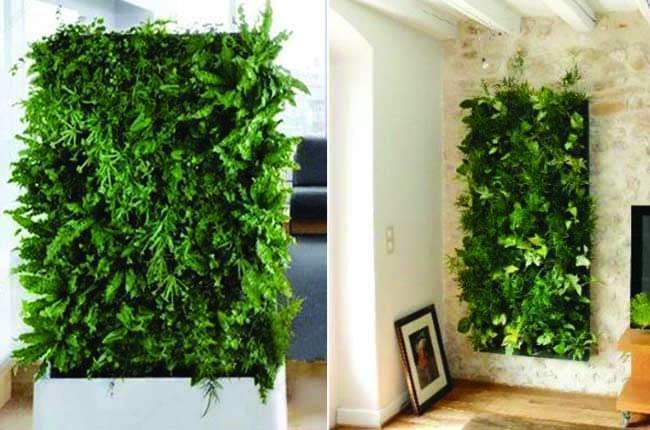 Artificial Green Wall GAF11