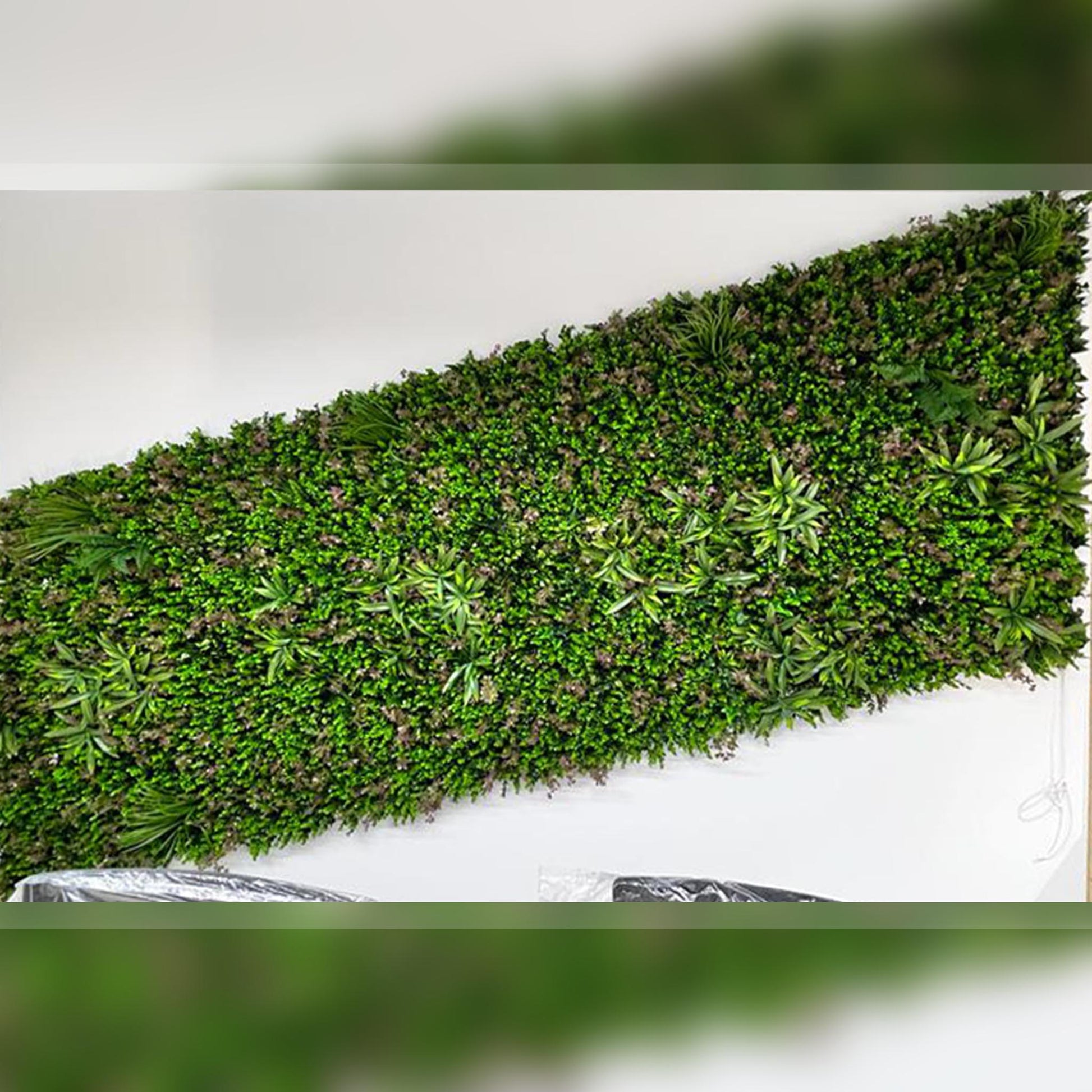 Lush green wall enhancing Dubai interiors.