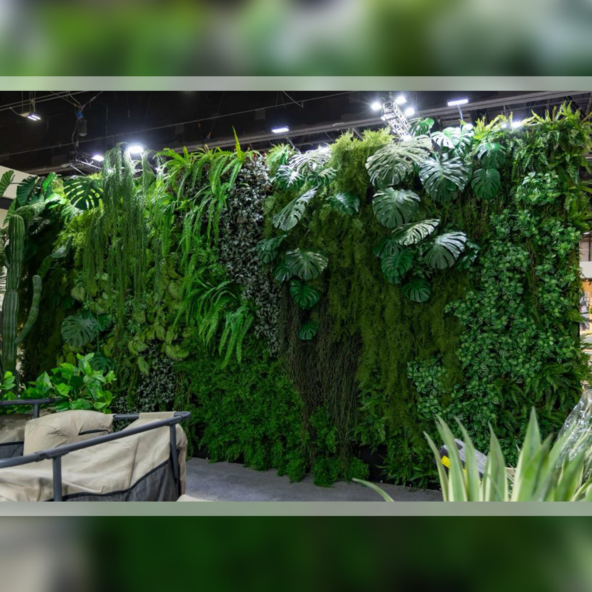 Premium quality greenery for sale in Dubai.