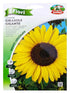 Sunflower Seeds