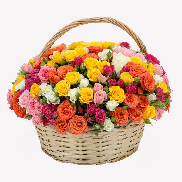 Fresh Flower Delivery in Dubai, UAE. Indoor & Outdoor Plants, Artificial Flowers, Plants & Trees, Succulent, Terrariums & Supplies, Gardening & Plantation, Moss wall, Green wall, Foliage Wall, Flowers for every occasion, Landscape Designing, Dry Flower, Coir Products, Plant Pots, Pets Aquarium, More.