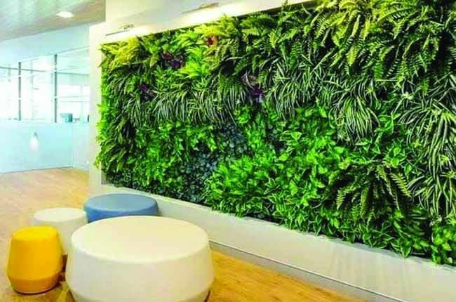 Artificial Green Wall GAF2