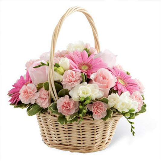 Fresh Flower Delivery in Dubai, UAE. Indoor & Outdoor Plants, Artificial Flowers, Plants & Trees, Succulent, Terrariums & Supplies, Gardening & Plantation, Moss wall, Green wall, Foliage Wall, Flowers for every occasion, Landscape Designing, Dry Flower, Coir Products, Plant Pots, Pets (Birds and Fishes) Aquarium, More.