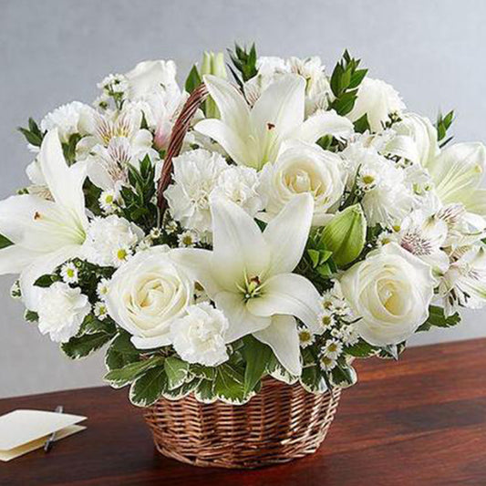 Fresh Flower Delivery in Dubai, UAE. Indoor & Outdoor Plants, Artificial Flowers, Plants & Trees, Succulent, Terrariums & Supplies, Gardening & Plantation, Moss wall, Green wall, Foliage Wall, Flowers for every occasion, Landscape Designing, Dry Flower, Coir Products, Plant Pots, Pets (Birds and Fishes) Aquarium, More.