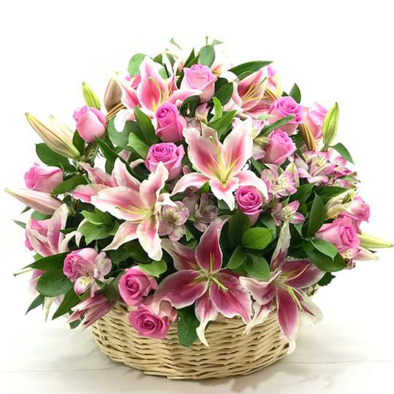 Fresh Flower Delivery in Dubai, UAE. Indoor & Outdoor Plants, Artificial Flowers, Plants & Trees, Succulent, Terrariums & Supplies, Gardening & Plantation, Moss wall, Green wall, Foliage Wall, Flowers for every occasion, Landscape Designing, Dry Flower, Coir Products, Plant Pots, Pets (Birds and Fishes) Aquarium, More.