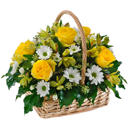 Fresh Flower Delivery in Dubai, UAE. Indoor & Outdoor Plants, Artificial Flowers, Plants & Trees, Succulent, Terrariums & Supplies, Gardening & Plantation, Moss wall, Green wall, Foliage Wall, Flowers for every occasion, Landscape Designing, Dry Flower, Coir Products, Plant Pots, Pets (Birds and Fishes) Aquarium, More.