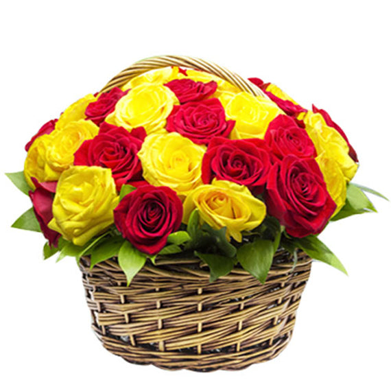 Fresh Flower Delivery in Dubai, UAE. Indoor & Outdoor Plants, Artificial Flowers, Plants & Trees, Succulent, Terrariums & Supplies, Gardening & Plantation, Moss wall, Green wall, Foliage Wall, Flowers for every occasion, Landscape Designing, Dry Flower, Coir Products, Plant Pots, Pets (Birds and Fishes) Aquarium, More.