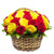 Fresh Flower Delivery in Dubai, UAE. Indoor & Outdoor Plants, Artificial Flowers, Plants & Trees, Succulent, Terrariums & Supplies, Gardening & Plantation, Moss wall, Green wall, Foliage Wall, Flowers for every occasion, Landscape Designing, Dry Flower, Coir Products, Plant Pots, Pets (Birds and Fishes) Aquarium, More.