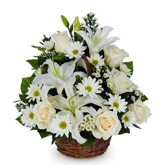 Fresh Flower Delivery in Dubai, UAE. Indoor & Outdoor Plants, Artificial Flowers, Plants & Trees, Succulent, Terrariums & Supplies, Gardening & Plantation, Moss wall, Green wall, Foliage Wall, Flowers for every occasion, Landscape Designing, Dry Flower, Coir Products, Plant Pots, Pets (Birds and Fishes) Aquarium, More.