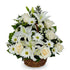 Snow white Flowers basket