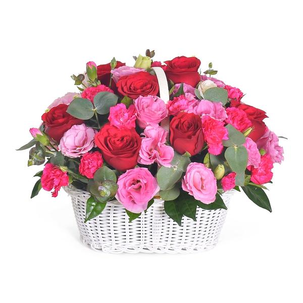 Fresh Flower Delivery in Dubai, UAE. Indoor & Outdoor Plants, Artificial Flowers, Plants & Trees, Succulent, Terrariums & Supplies, Gardening & Plantation, Moss wall, Green wall, Foliage Wall, Flowers for every occasion, Landscape Designing, Dry Flower, Coir Products, Plant Pots, Pets (Birds and Fishes) Aquarium, More.