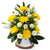 Fresh Flower Delivery in Dubai, UAE. Indoor & Outdoor Plants, Artificial Flowers, Plants & Trees, Succulent, Terrariums & Supplies, Gardening & Plantation, Moss wall, Green wall, Foliage Wall, Flowers for every occasion, Landscape Designing, Dry Flower, Coir Products, Plant Pots, Pets (Birds and Fishes) Aquarium, More.