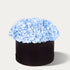 Blue Hydrangea Box