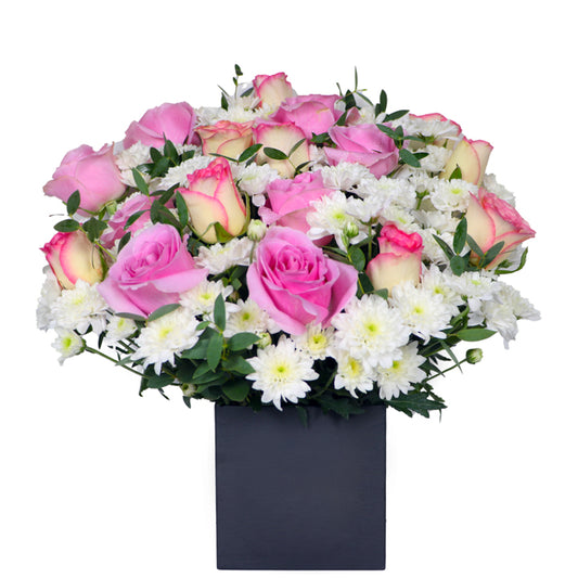 Fresh Flower Delivery in Dubai, UAE. Indoor & Outdoor Plants, Artificial Flowers, Plants & Trees, Succulent, Terrariums & Supplies, Gardening & Plantation, Moss wall, Green wall, Foliage Wall, Flowers for every occasion, Landscape Designing, Dry Flower, Coir Products, Plant Pots, Pets (Birds and Fishes) Aquarium, More.