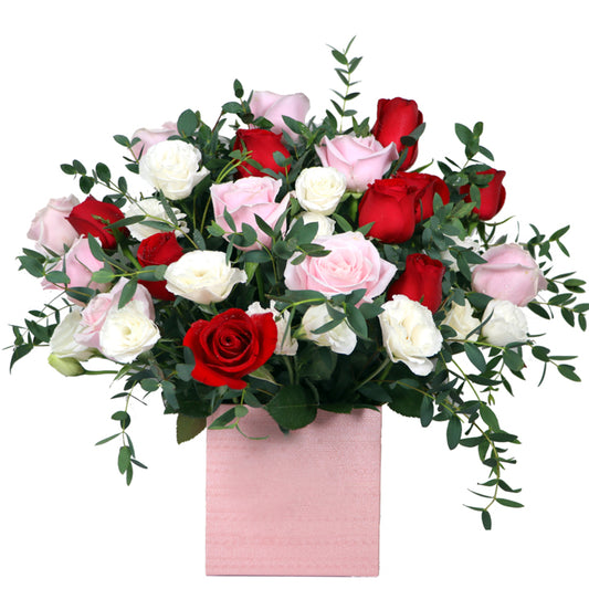 Fresh Flower Delivery in Dubai, UAE. Indoor & Outdoor Plants, Artificial Flowers, Plants & Trees, Succulent, Terrariums & Supplies, Gardening & Plantation, Moss wall, Green wall, Foliage Wall, Flowers for every occasion, Landscape Designing, Dry Flower, Coir Products, Plant Pots, Pets (Birds and Fishes) Aquarium, More.