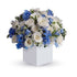 white and Blue  Gift box