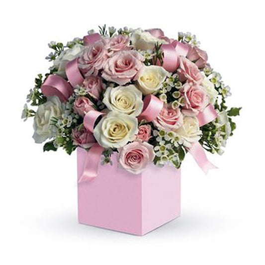 Fresh Flower Delivery in Dubai, UAE. Indoor & Outdoor Plants, Artificial Flowers, Plants & Trees, Succulent, Terrariums & Supplies, Gardening & Plantation, Moss wall, Green wall, Foliage Wall, Flowers for every occasion, Landscape Designing, Dry Flower, Coir Products, Plant Pots, Pets (Birds and Fishes) Aquarium, More.