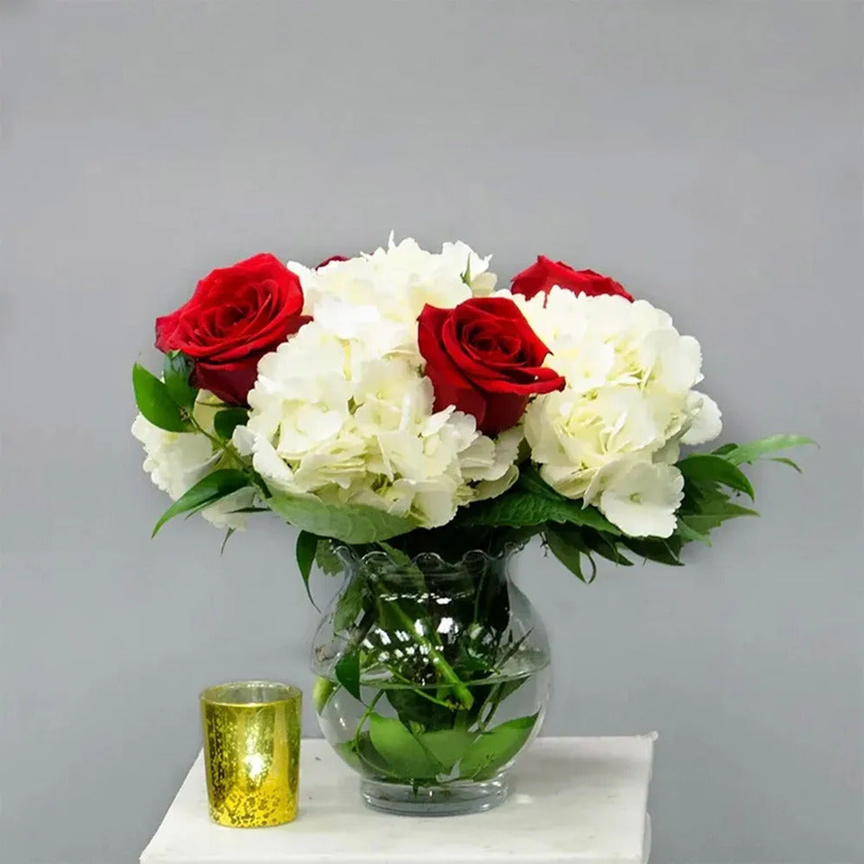 Fresh Flower Delivery in Dubai, UAE. Indoor & Outdoor Plants, Artificial Flowers, Plants & Trees, Succulent, Terrariums & Supplies, Gardening & Plantation, Moss wall, Green wall, Foliage Wall, Flowers for every occasion, Landscape Designing, Dry Flower, Coir Products, Plant Pots, Pets (Birds and Fishes) Aquarium, More.