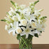 Bunch of white in vase