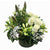 Fresh Flower Delivery in Dubai, UAE. Indoor & Outdoor Plants, Artificial Flowers, Plants & Trees, Succulent, Terrariums & Supplies, Gardening & Plantation, Moss wall, Green wall, Foliage Wall, Flowers for every occasion, Landscape Designing, Dry Flower, Coir Products, Plant Pots, Pets (Birds and Fishes) Aquarium, More.