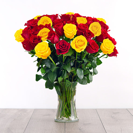 Fresh Flower Delivery in Dubai, UAE. Indoor & Outdoor Plants, Artificial Flowers, Plants & Trees, Succulent, Terrariums & Supplies, Gardening & Plantation, Moss wall, Green wall, Foliage Wall, Flowers for every occasion, Landscape Designing, Dry Flower, Coir Products, Plant Pots, Pets (Birds and Fishes) Aquarium, More.