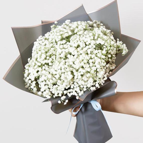 Fresh Flower Delivery in Dubai, UAE. Indoor & Outdoor Plants, Artificial Flowers, Plants & Trees, Succulent, Terrariums & Supplies, Gardening & Plantation, Moss wall, Green wall, Foliage Wall, Flowers for every occasion, Landscape Designing, Dry Flower, Coir Products, Plant Pots, Pets & Aquarium, More.