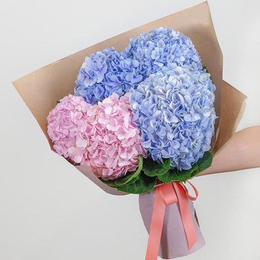 Fresh Flower Delivery in Dubai, UAE. Indoor & Outdoor Plants, Artificial Flowers, Plants & Trees, Succulent, Terrariums & Supplies, Gardening & Plantation, Moss wall, Green wall, Foliage Wall, Flowers for every occasion, Landscape Designing, Dry Flower, Coir Products, Plant Pots, Pets & Aquarium, More.