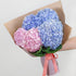 Pink & Blue Hydrangea