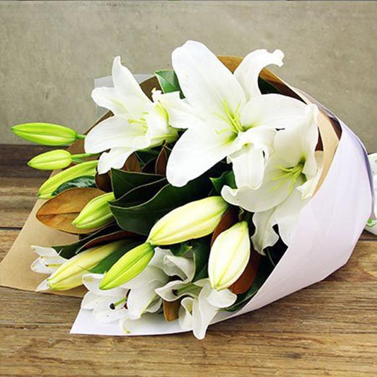 Fresh Flower Delivery in Dubai, UAE. Indoor & Outdoor Plants, Artificial Flowers, Plants & Trees, Succulent, Terrariums & Supplies, Gardening & Plantation, Moss wall, Green wall, Foliage Wall, Flowers for every occasion, Landscape Designing, Dry Flower, Coir Products, Plant Pots, Pets (Birds and Fishes) Aquarium, More.