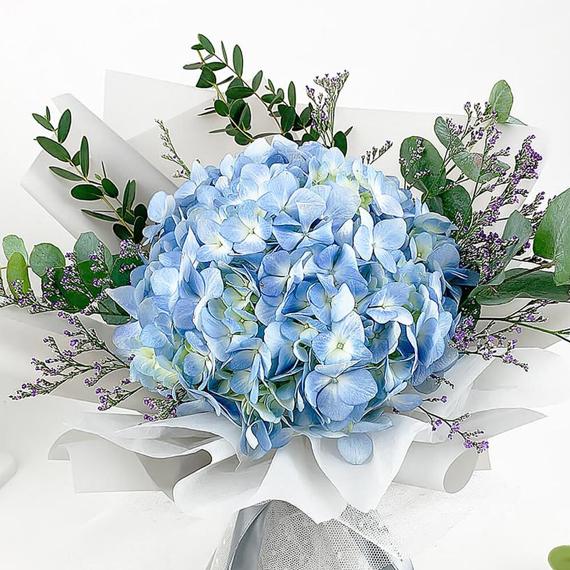 Fresh Flower Delivery in Dubai, UAE. Indoor & Outdoor Plants, Artificial Flowers, Plants & Trees, Succulent, Terrariums & Supplies, Gardening & Plantation, Moss wall, Green wall, Foliage Wall, Flowers for every occasion, Landscape Designing, Dry Flower, Coir Products, Plant Pots, Pets (Birds and Fishes) Aquarium, More.