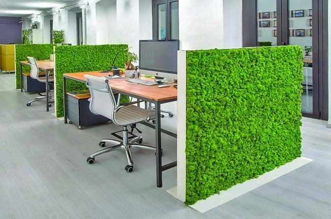 Preserved Moss Wall & Artificial Green wall, Wall Art Frames, Pets & Aquarium, Coir Products, Plant Pots, Dry Flower, Green wall, Foliage Wall, Flowers for every occasion, Landscape Designing, Dry Flower, Coir Products,Plant Pots, Flower Delivery in Dubai, UAE. Flower bouquets, Indoor & Outdoor Plants, succulents Dubai