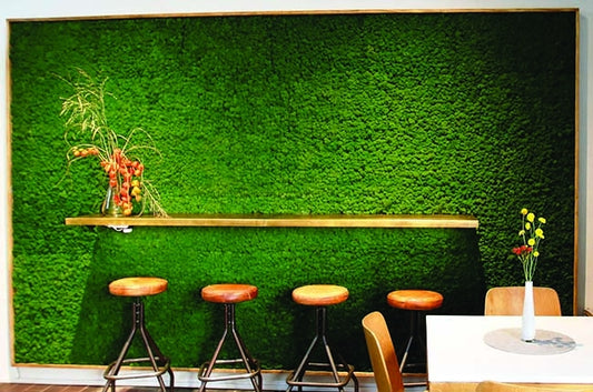 Preserved Moss Wall & Artificial Green wall, Wall Art Frames, Pets & Aquarium, Coir Products, Plant Pots, Dry Flower, Green wall, Foliage Wall, Flowers for every occasion, Landscape Designing, Dry Flower, Coir Products,Plant Pots, Flower Delivery in Dubai, UAE. Flower bouquets, Indoor & Outdoor Plants, succulents Dubai