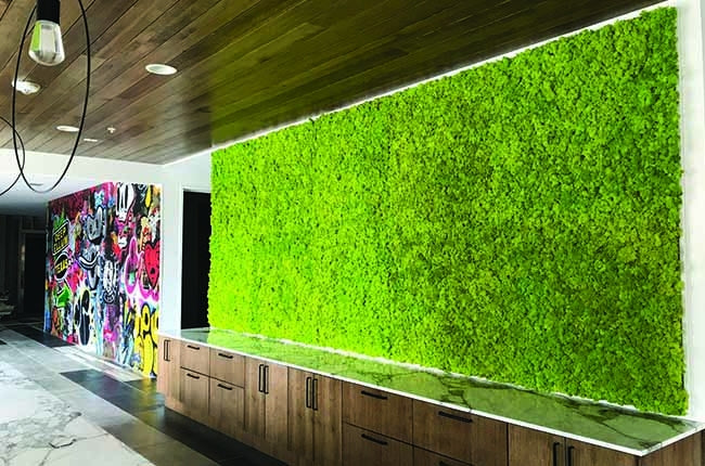 Preserved Moss Wall & Artificial Green wall, Wall Art Frames, Pets & Aquarium, Coir Products, Plant Pots, Dry Flower, Green wall, Foliage Wall, Flowers for every occasion, Landscape Designing, Dry Flower, Coir Products,Plant Pots, Flower Delivery in Dubai, UAE. Flower bouquets, Indoor & Outdoor Plants, succulents Dubai