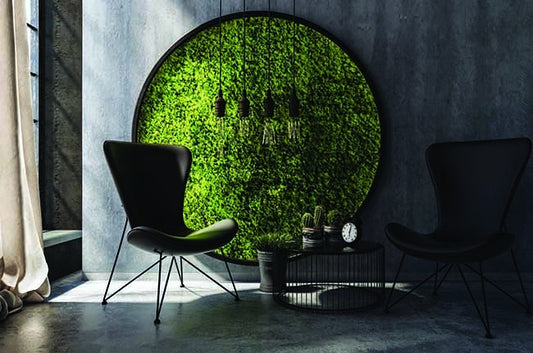 Preserved Moss Wall & Artificial Green wall, Wall Art Frames, Pets & Aquarium, Coir Products, Plant Pots, Dry Flower, Green wall, Foliage Wall, Flowers for every occasion, Landscape Designing, Dry Flower, Coir Products,Plant Pots, Flower Delivery in Dubai, UAE. Flower bouquets, Indoor & Outdoor Plants, succulents Dubai