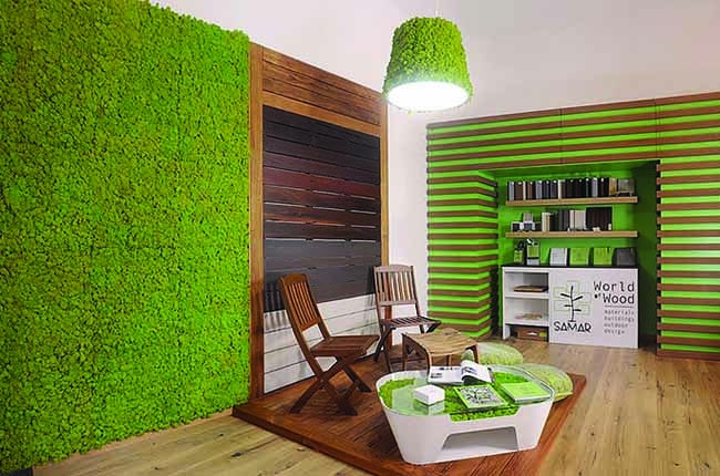 Preserved Moss Wall & Artificial Green wall, Wall Art Frames, Pets & Aquarium, Coir Products, Plant Pots, Dry Flower, Green wall, Foliage Wall, Flowers for every occasion, Landscape Designing, Dry Flower, Coir Products,Plant Pots, Flower Delivery in Dubai, UAE. Flower bouquets, Indoor & Outdoor Plants, succulents Dubai