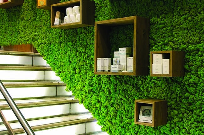 Preserved Moss Wall & Artificial Green wall, Wall Art Frames, Pets & Aquarium, Coir Products, Plant Pots, Dry Flower, Green wall, Foliage Wall, Flowers for every occasion, Landscape Designing, Dry Flower, Coir Products,Plant Pots, Flower Delivery in Dubai, UAE. Flower bouquets, Indoor & Outdoor Plants, succulents Dubai