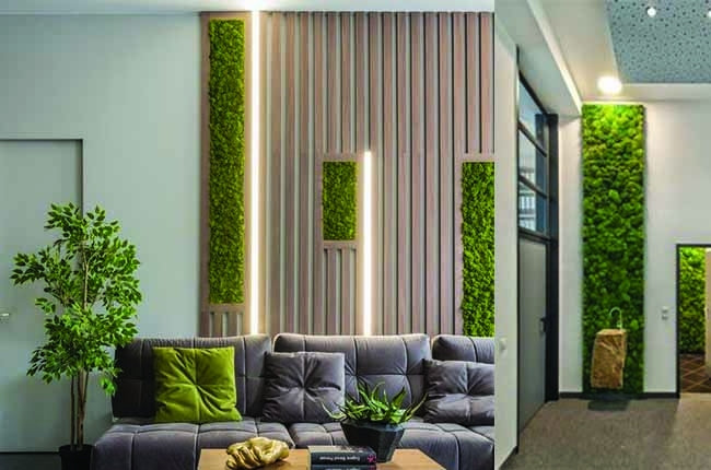 Preserved Moss Wall & Artificial Green wall, Wall Art Frames, Pets & Aquarium, Coir Products, Plant Pots, Dry Flower, Green wall, Foliage Wall, Flowers for every occasion, Landscape Designing, Dry Flower, Coir Products,Plant Pots, Flower Delivery in Dubai, UAE. Flower bouquets, Indoor & Outdoor Plants, succulents Dubai