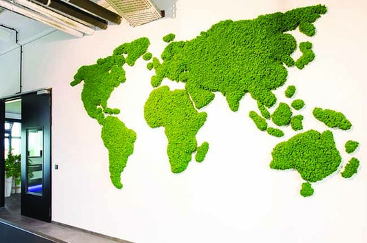 Preserved Moss Wall & Artificial Green wall, Wall Art Frames, Pets & Aquarium, Coir Products, Plant Pots, Dry Flower, Green wall, Foliage Wall, Flowers for every occasion, Landscape Designing, Dry Flower, Coir Products,Plant Pots, Flower Delivery in Dubai, UAE. Flower bouquets, Indoor & Outdoor Plants, succulents Dubai