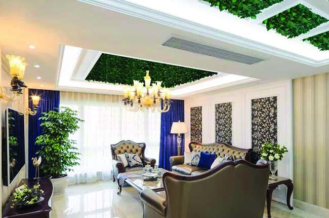 Preserved Moss Wall & Artificial Green wall, Wall Art Frames, Pets & Aquarium, Coir Products, Plant Pots, Dry Flower, Green wall, Foliage Wall, Flowers for every occasion, Landscape Designing, Dry Flower, Coir Products,Plant Pots, Flower Delivery in Dubai, UAE. Flower bouquets, Indoor & Outdoor Plants, succulents Dubai