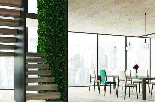 Preserved Moss Wall & Artificial Green wall, Wall Art Frames, Pets & Aquarium, Coir Products, Plant Pots, Dry Flower, Green wall, Foliage Wall, Flowers for every occasion, Landscape Designing, Dry Flower, Coir Products,Plant Pots, Flower Delivery in Dubai, UAE. Flower bouquets, Indoor & Outdoor Plants, succulents Dubai