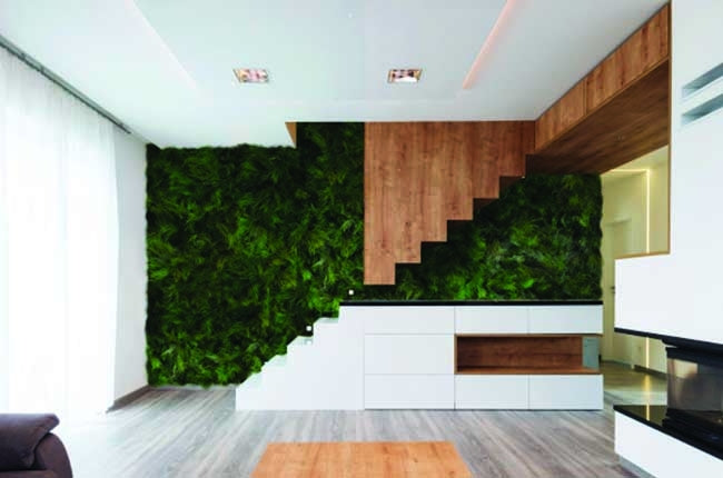 Preserved Moss Wall & Artificial Green wall, Wall Art Frames, Pets & Aquarium, Coir Products, Plant Pots, Dry Flower, Green wall, Foliage Wall, Flowers for every occasion, Landscape Designing, Dry Flower, Coir Products,Plant Pots, Flower Delivery in Dubai, UAE. Flower bouquets, Indoor & Outdoor Plants, succulents Dubai